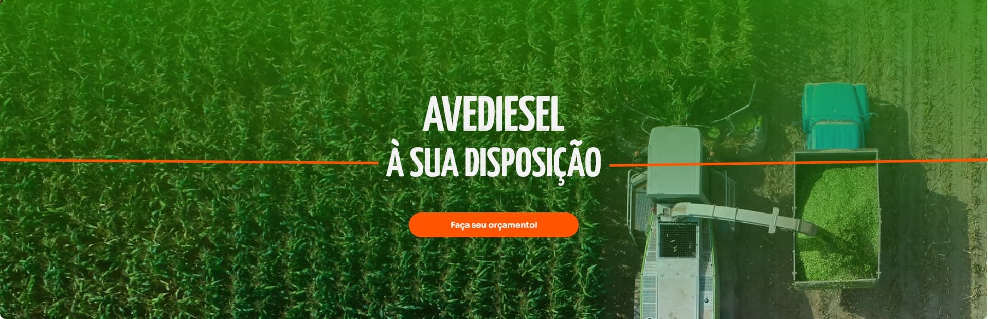 https://cdn.codiehost.com.br/codie/133444355195601246.jpg